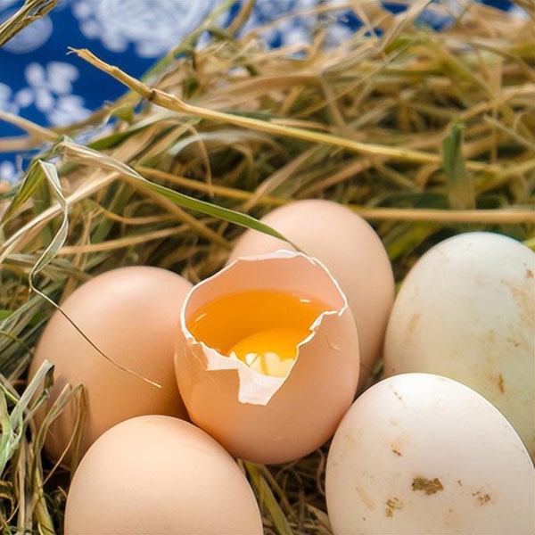 金寨农村土鸡蛋